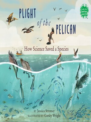 cover image of Plight of the Pelican